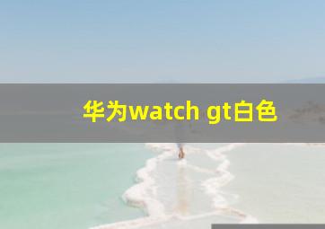 华为watch gt白色